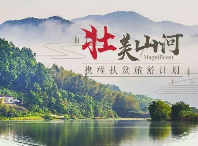 拯救卡通獾